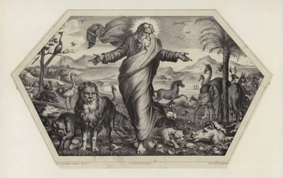 A criação dos animais